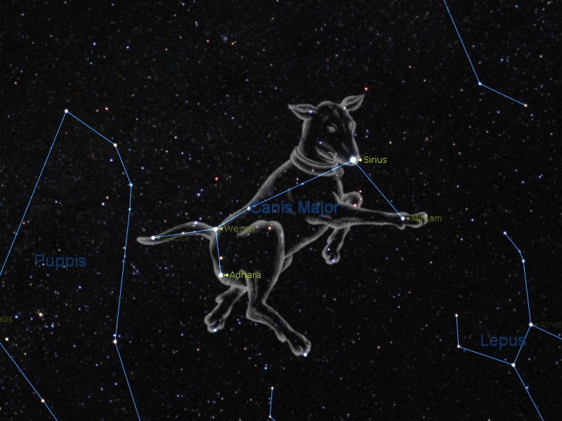 grand chien constellation