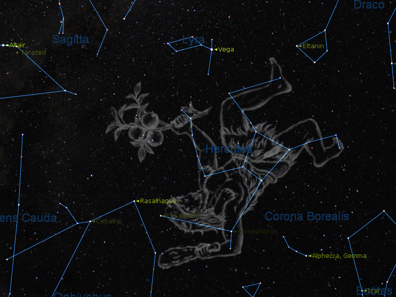 constellation d hercule