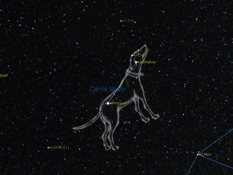 constellation du petit chien